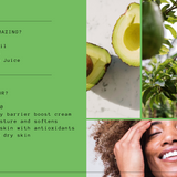 Avocado + Ceramides Eye Cream 10ml