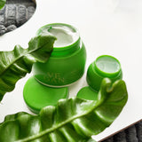 Avocado + Coconut Skincare Edit